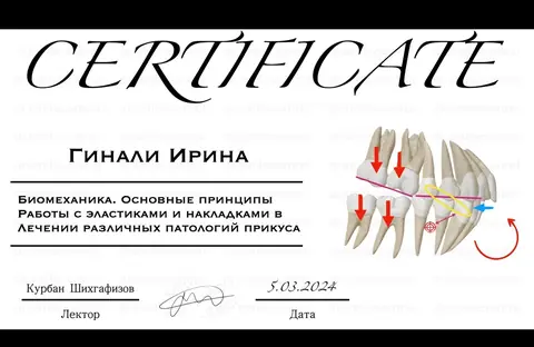 Сертификат 8